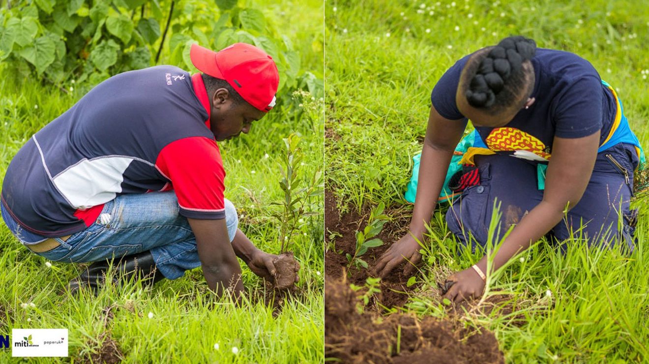 Nairobians head to the Aberdares for tree planting adventure Nairobi News