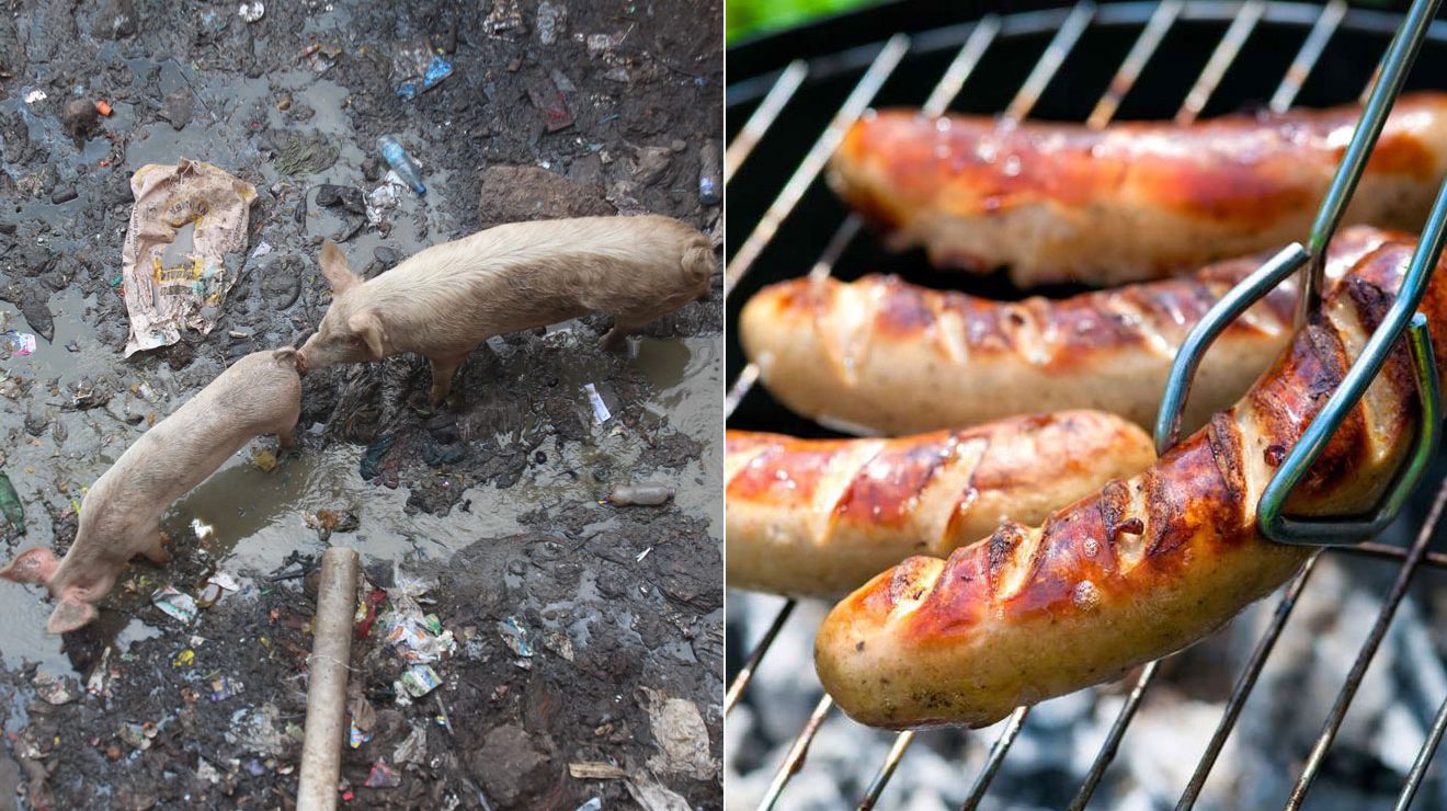 ‘Nguruwe chokora’ will make you rethink your love for pork and sausages