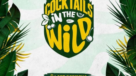 Party In The Wild