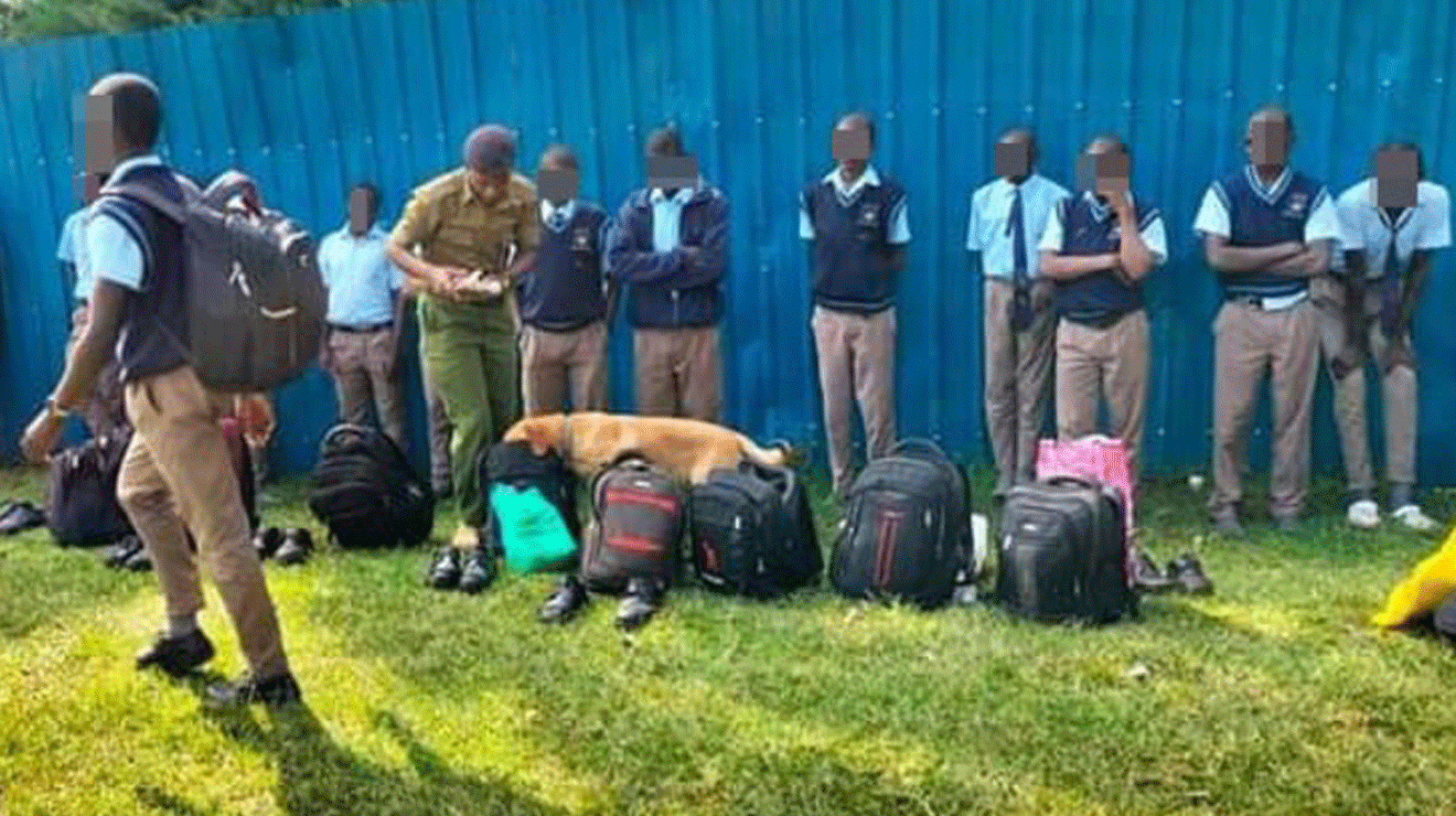 Vihiga Boys High School students found with drugs after search with police dogs – Nairobi News