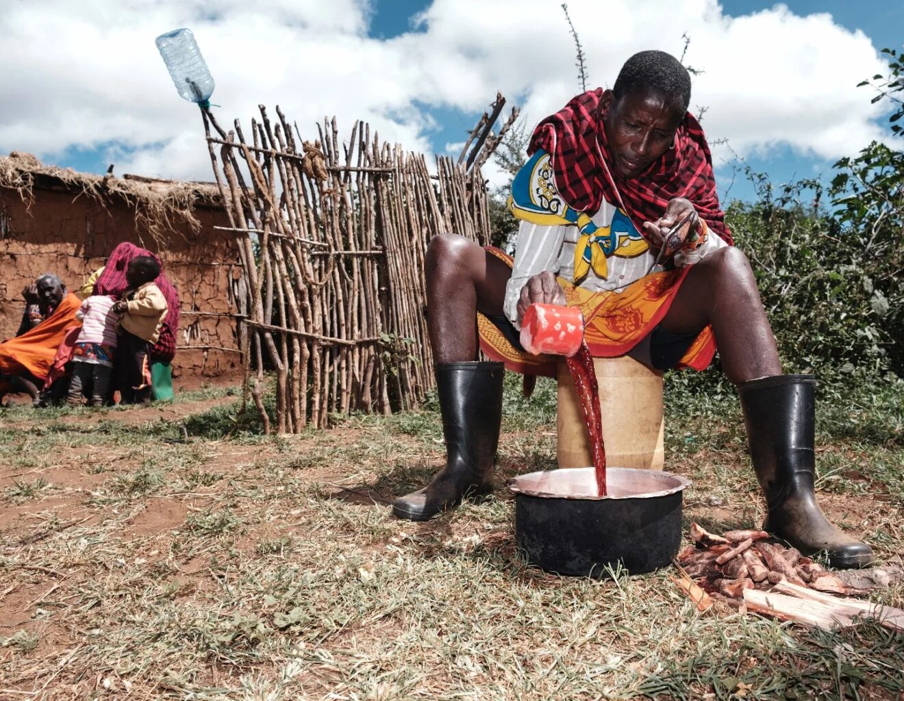 How safe are the Maasai treatment herbs? Nairobi News