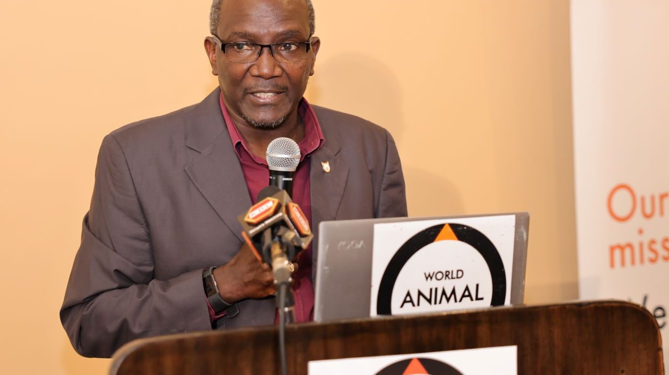 exclusive-global-animal-rights-campaigner-warns-of-environmental